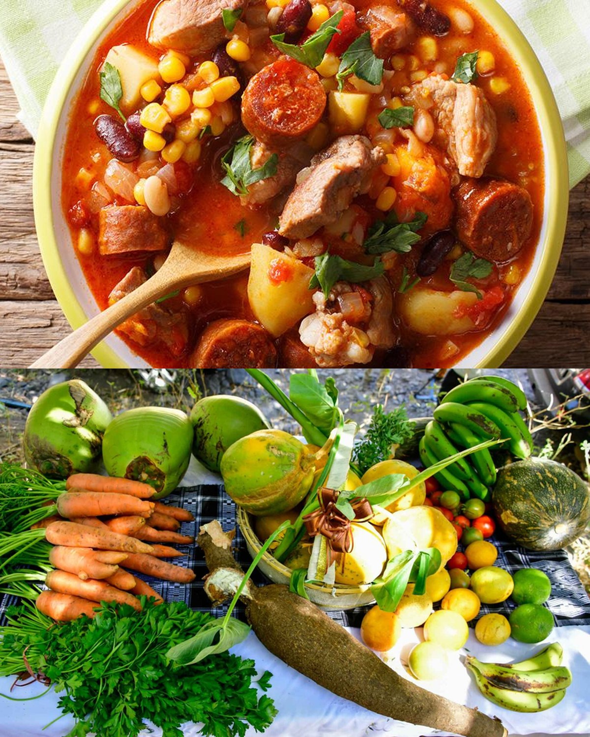 Gastronomia